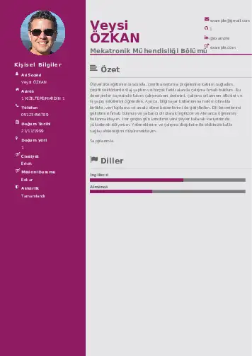 Mekatronik Mühendisliği Cv Örnekleri cv indir